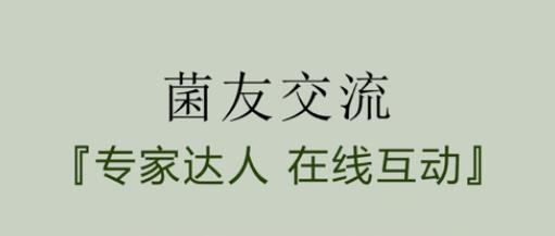 菌窝子蘑菇识别扫一扫软件 菌窝子蘑菇识别扫一扫软件