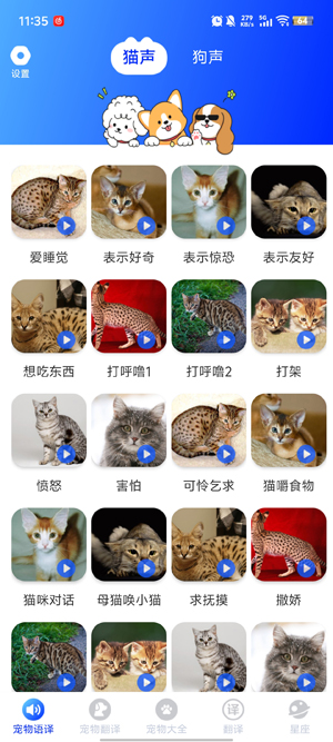 喵喵语译app官方版 喵喵语译app官方版