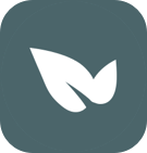 青藤之恋5.43.0安卓版