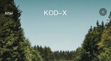 foodle相机软件 foodle相机软件