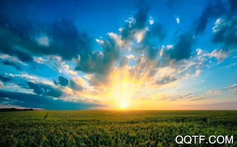 粉笔教育机构app手机客户端 粉笔教育机构app手机客户端