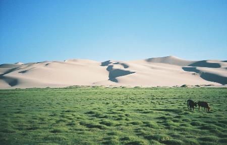 三星相册安卓版 三星相册安卓版