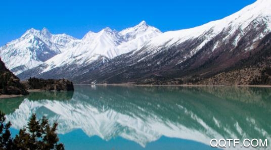 温州新闻网最新消息app最新版 温州新闻网最新消息app最新版