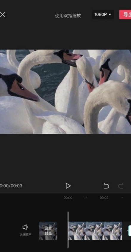 西瓜视频最新版本