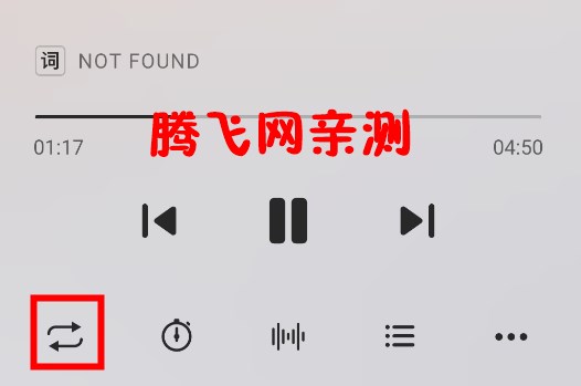 椒盐音乐app安卓版Salt Player