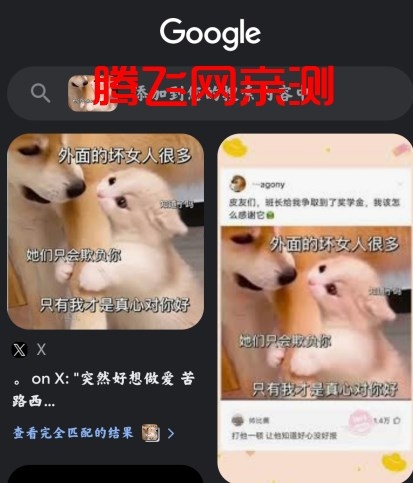 Google谷歌搜索手机版