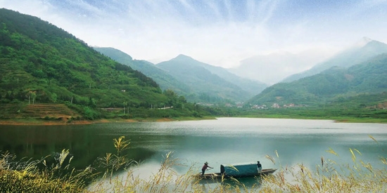 VIVO相机app官方版