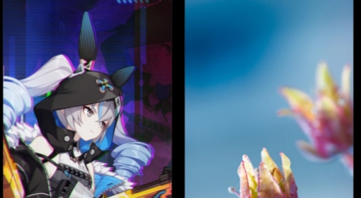 MIUI主题壁纸提取版