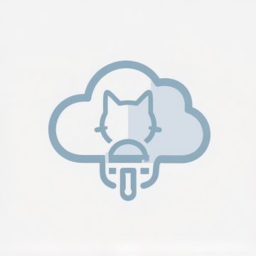 云喵工具箱2.3.23安卓版