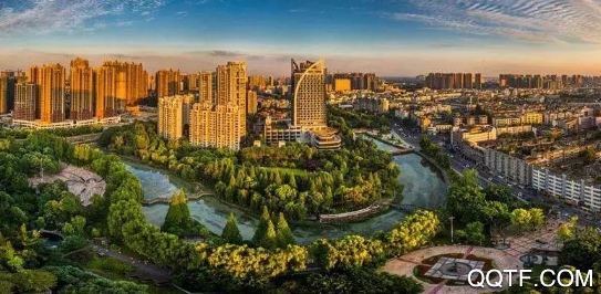 金温江app最新版