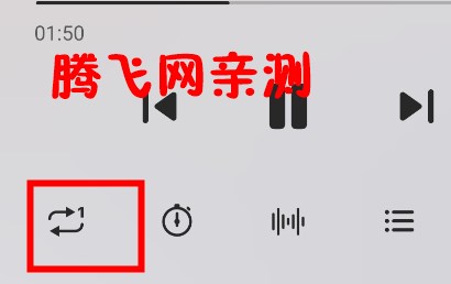 椒盐音乐app安卓版Salt Player