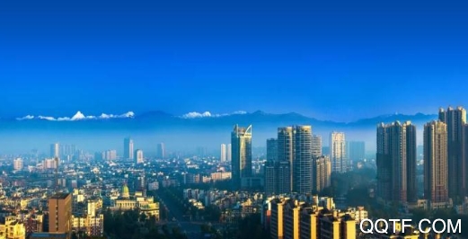 金温江app最新版