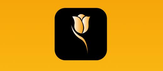 伊朵可视app最新版