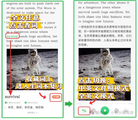 小树分级阅读app最新版 小树分级阅读app最新版