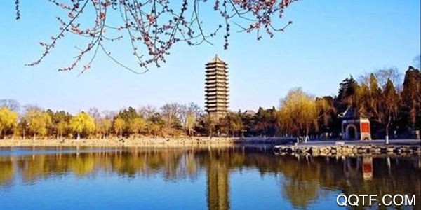 北京大学信息服务app手机版