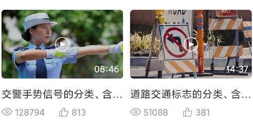 斑斑驾道定制版app安卓版