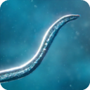 孢子模拟器中文版 正版v56.48