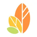 自律树正版1.45 最新版