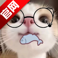 主题仓Pro安卓仿IOS软件