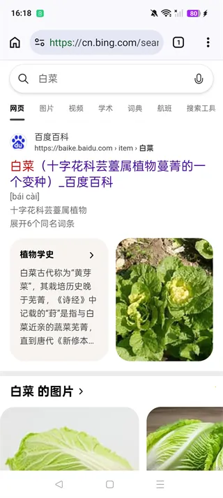 cromite浏览器手机版