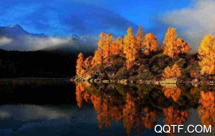 四川观察手机客户端(电视直播)