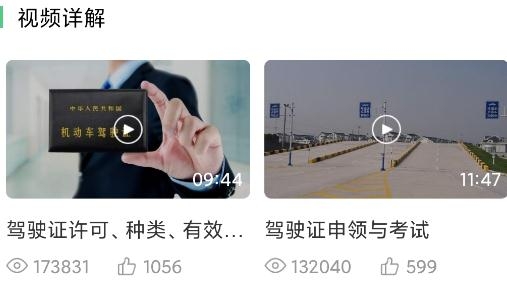 斑斑驾道定制版app安卓版