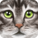 终极猫模拟器无限技能版 安卓版v1.1