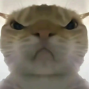 三角洲行动鼠鼠工具最新版本20261.0 手机版