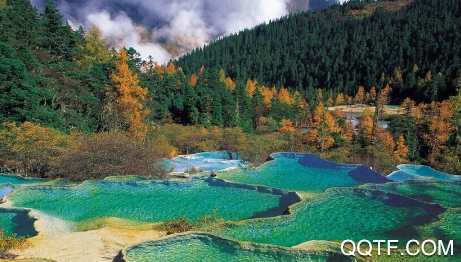 四川观察手机客户端(电视直播)