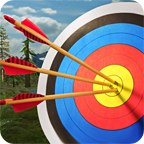 Archery Master 3D(射箭大师3D) 安卓版v3.9