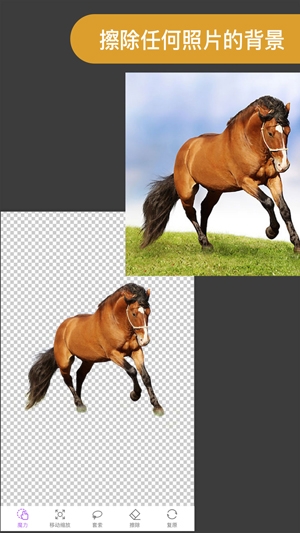 ProKnockout智能抠图P图app官方版 ProKnockout智能抠图P图app官方版