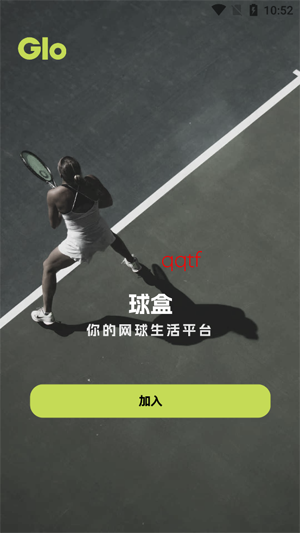 球盒app最新版本