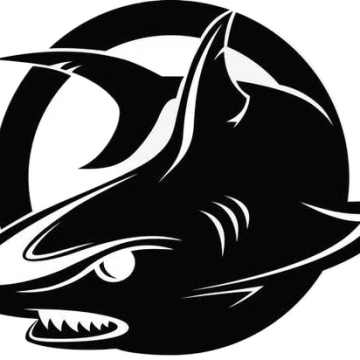 蓝龙直装框架1.0安卓版