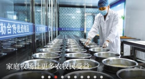 草原全媒客户端