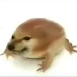 我的刀盾1.0 最新版