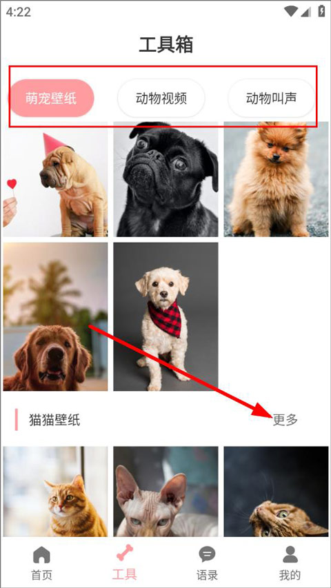 狗语翻译器最新版本2026