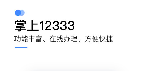 掌上12333官方(社保认证) 掌上12333官方(社保认证)