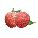 增城泊车官方版1.7.5安卓版