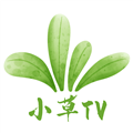 小草TV版官方手机版v6.8 安卓版