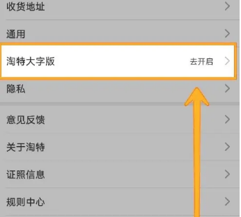 淘特大字版