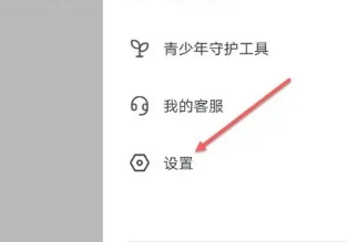 抖音大字版app