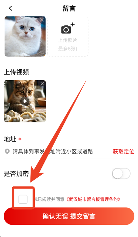 大武汉最新app