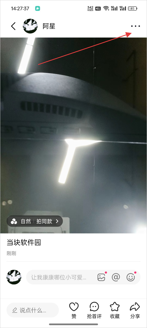 可颂